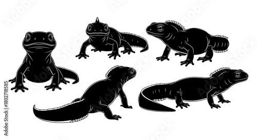 Lizard silhouettes collection: reptile design set in black and white