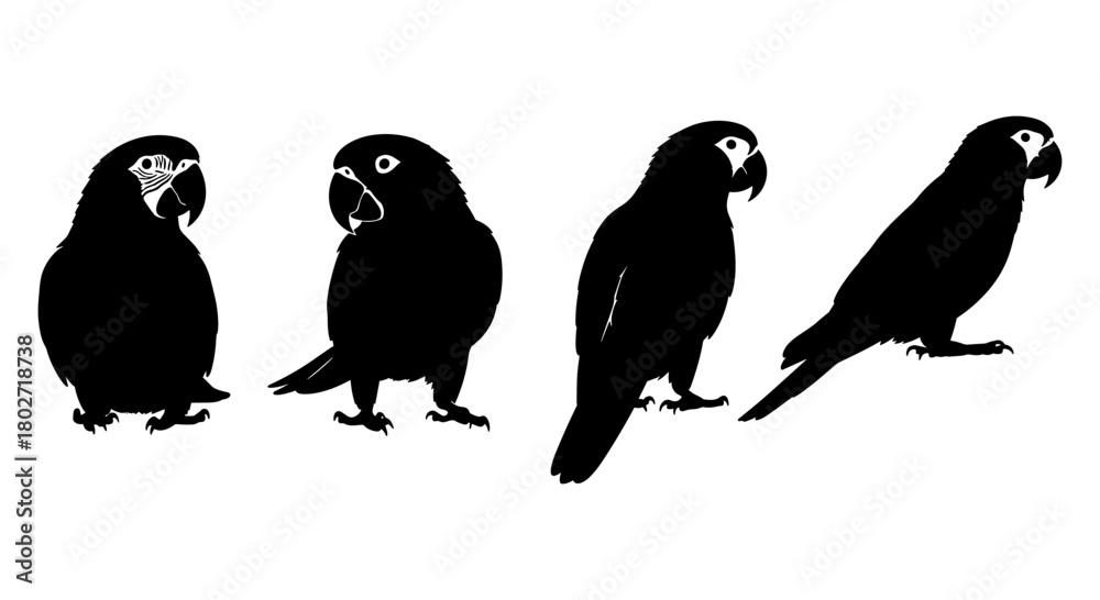 Naklejka premium Black silhouettes of parrots in various poses on a white background