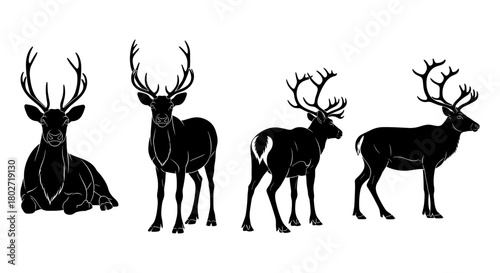 Elegant deer silhouettes in various poses with antlers on white background