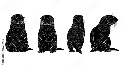 Set of hand drawn groundhog silhouettes in different poses for design projects