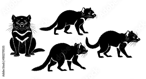 Silhouette designs of tasmanian devil in various poses on white background