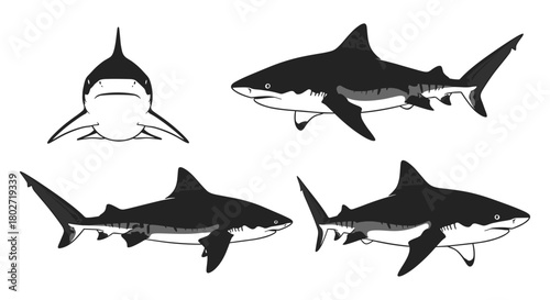 Set of minimalist black and white shark silhouettes with various poses