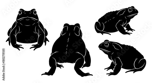 Stylized black silhouette of frogs in multiple poses on white background