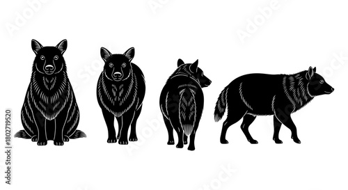 Silhouette wolves in various poses with detailed fur texture