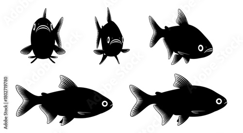Silhouette of fish with different poses perfect for marine themed designs