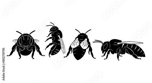 Silhouette set of bees in various poses on a white background