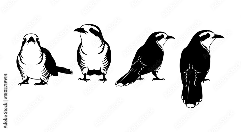 Naklejka premium Monochrome bird silhouettes: various poses of birds in artistic style