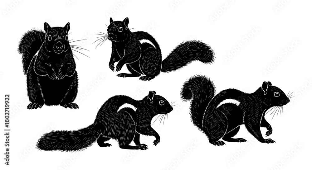 Obraz premium Intricate animal silhouettes: four black squirrels in lifelike poses