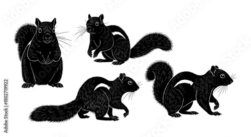 Intricate animal silhouettes: four black squirrels in lifelike poses