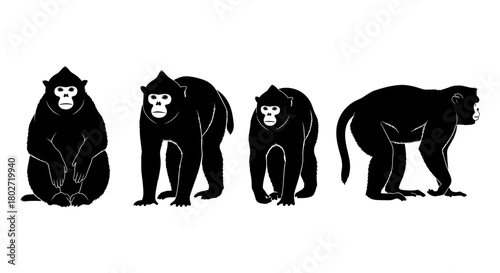 Silhouette set of monkeys in various poses on a white background
