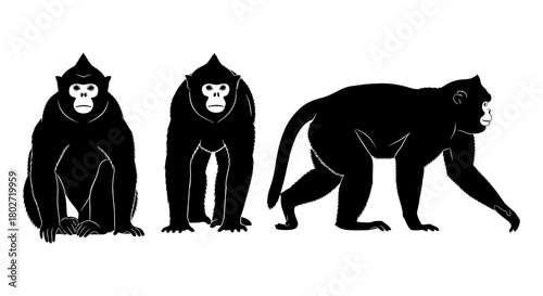 Black silhouette monkeys in various poses on white background