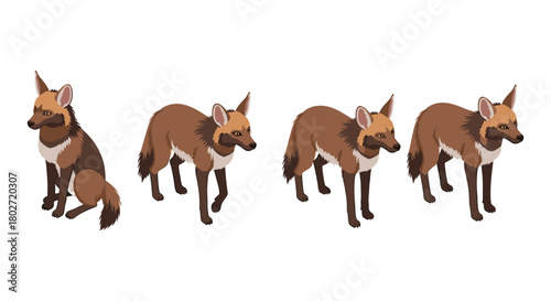 Set of animated brown foxes in various poses on white background