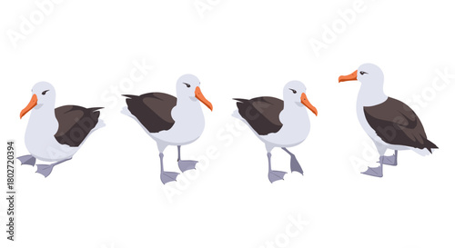 Albatross birds in flat style displaying various poses and expressions