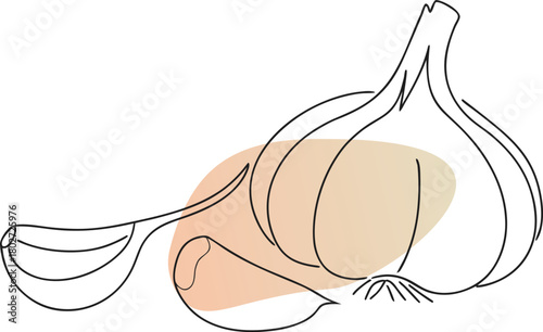 Garlic bulb and clove line art food ingredient