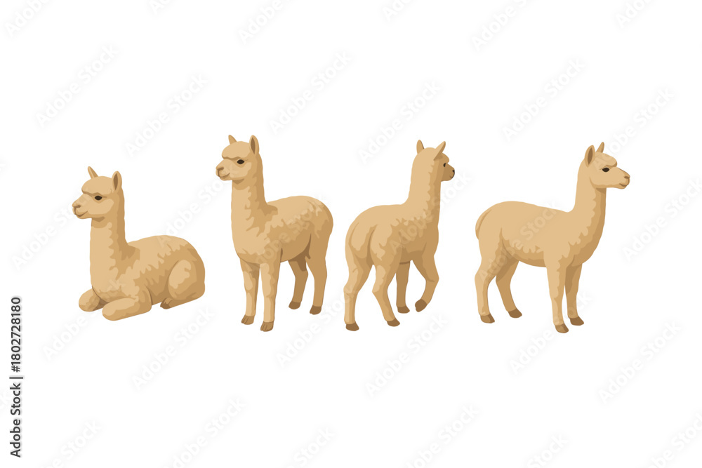 Naklejka premium Set of cute alpacas in various poses on white background