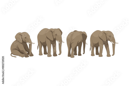 Elephant poses set featuring side, back, and front views in minimalist style