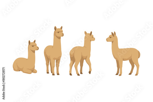 Stylized flat llama collection featuring four cute brown llamas on white background