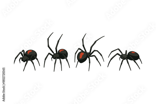 Set of black widow spiders with red markings in flat design