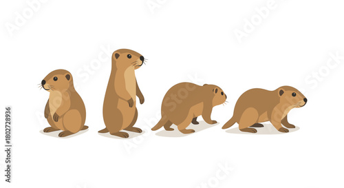 Cute prairie dog evolution in flat style