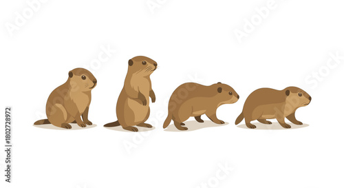 Prairie dogs in various poses on a white background