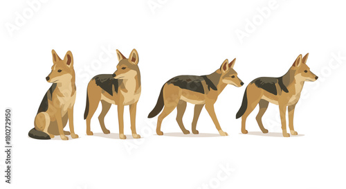 Set of german shepherd dog poses in flat style on white background