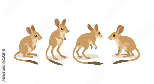 Cute jerboa set in flat design: adorable desert rodents with long tails