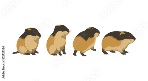 Adorable lemming sequence in minimalist design