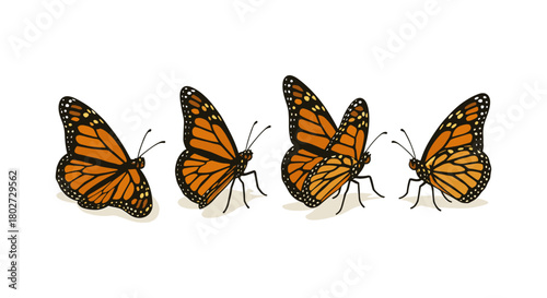 Monarch butterflies in flight: detailed realistic wing patterns and shadows