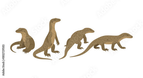 Komodo dragons in various poses on white background