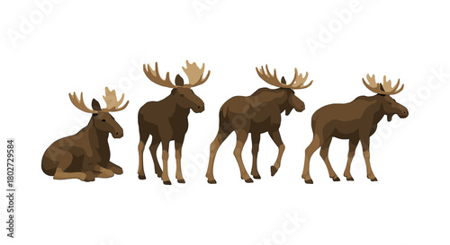Stylized moose poses: standing, walking, and sitting in natural brown tones