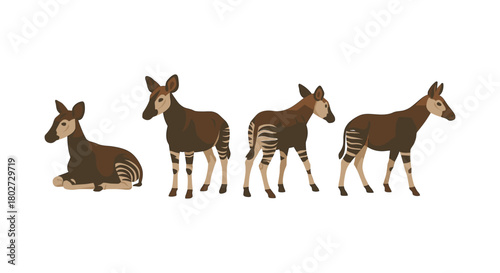 Okapi silhouettes in flat design: diverse poses of the elusive forest animal