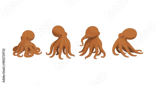 Flat octopus evolution sequence on white background