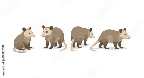 Set of cartoon opossums in different poses on white background
