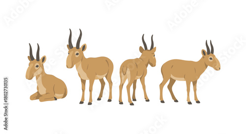 Saiga antelopes: diverse poses and silhouettes in flat style