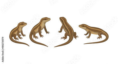 Set of stylized lizard illustrations in various poses on white background