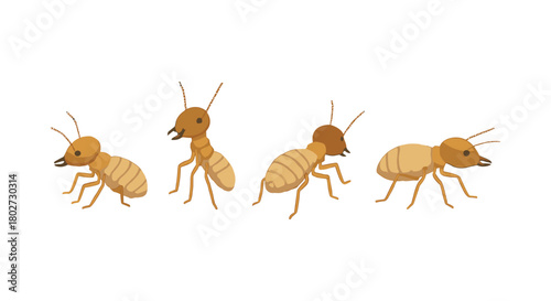 Cartoon termites in various poses on white background