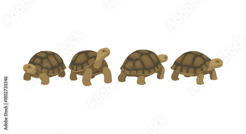 Cute cartoon tortoises in seamless pattern for kids' designs