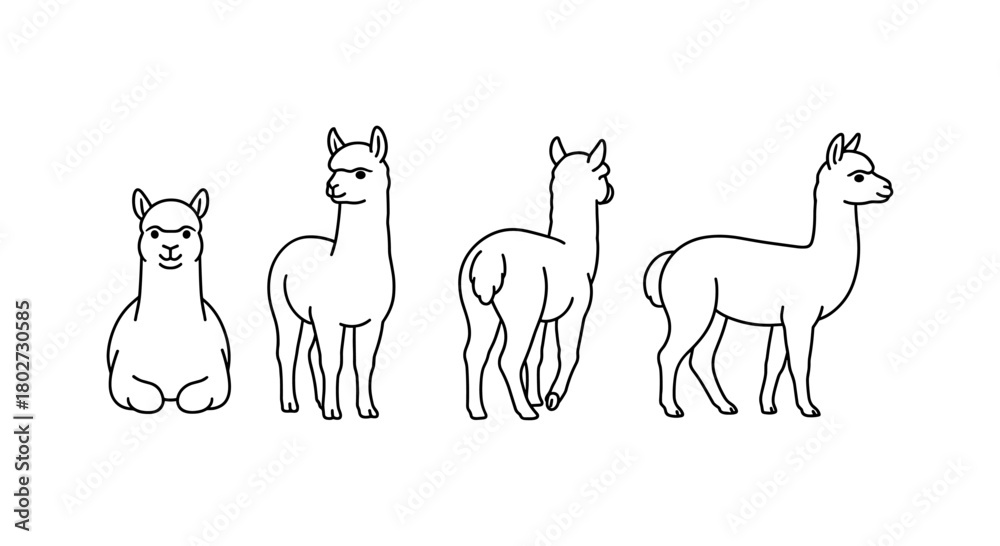 Naklejka premium Cute alpaca line art in different poses for design projects