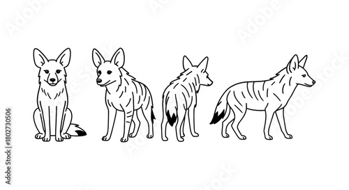 Set of four linear black and white wolf designs in various views