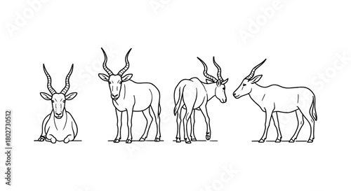 Linear antelope sketches: various poses and expressions in minimalist style