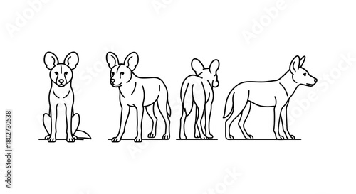 African wild dog linear art: front, profile, rear views in minimalist style