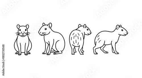 Linear capybara poses outline drawing for nature and wildlife art