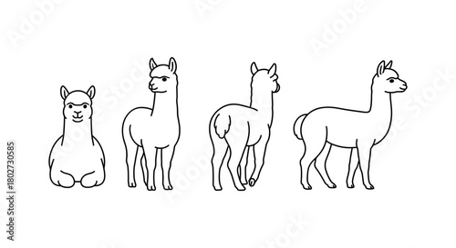 Cute alpaca line art in different poses for design projects