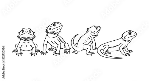 Bearded dragon in different poses: minimalist linear art reptile design