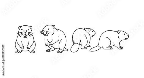 Simple beaver line art collection featuring various poses