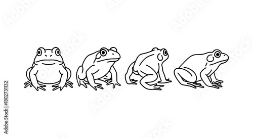 Four frog line drawings: front and side views in outline sketch style