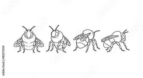 Bee line art: side and front views of bees in minimalist style
