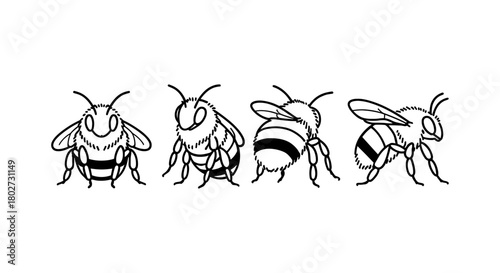 Set of stylized black and white bee designs in linear style