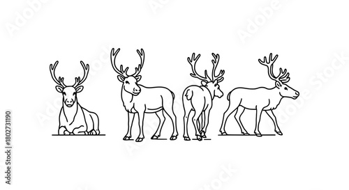 Minimalist deer outline art featuring four majestic poses