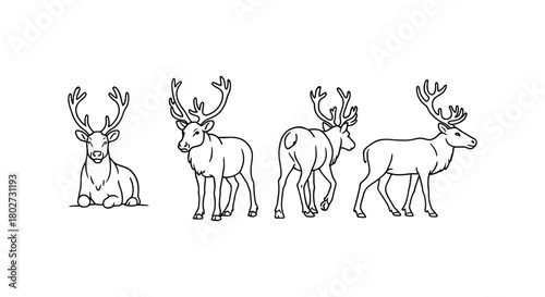 Detailed line art of reindeer in various poses on white background